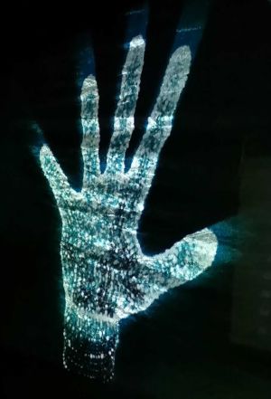 VAME; Hologramm; Holografie; Animation